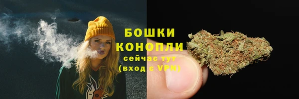 бошки Новозыбков