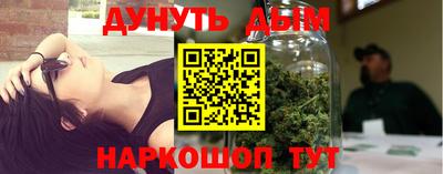 дмт Гай