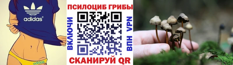 Псилоцибиновые грибы мицелий  hydra ONION  Заволжье 