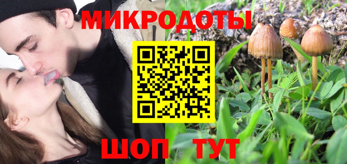 Псилоцибиновые грибы прущие грибы  Заволжье  Псилоцибиновые грибы MAGIC MUSHROOMS 