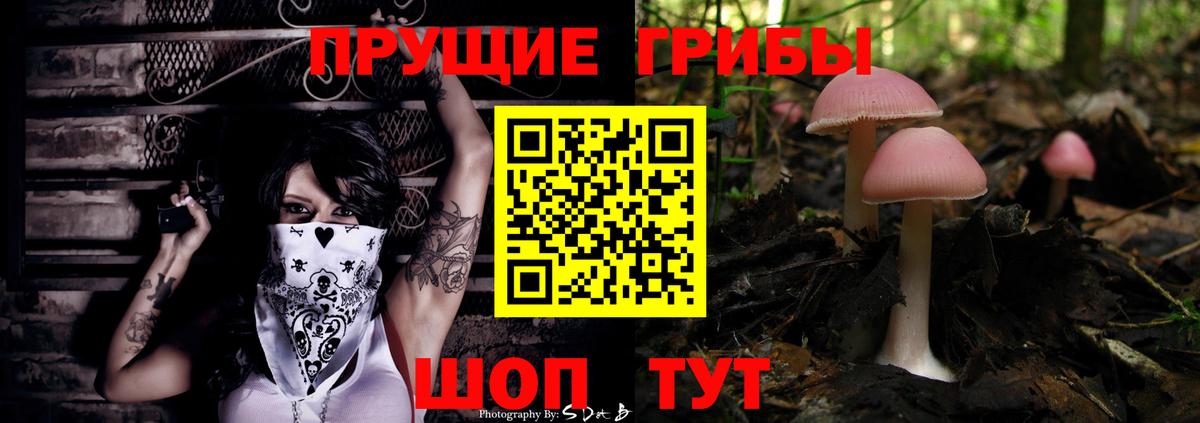 Псилоцибиновые грибы ЛСД  Вход с VPN  где найти наркотики  Заволжье  Галлюциногенные грибы GOLDEN TEACHER 