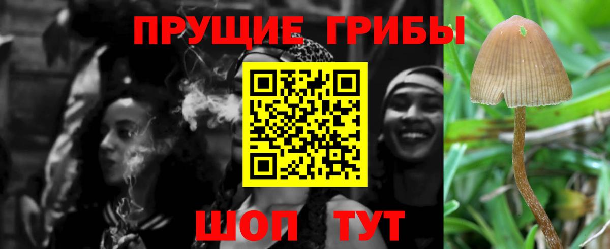 Заволжье  Вход с VPN  ГАШИШ  APVP СК кристаллы  МЕФ   Каннабис  Гашиш  NBOMe 