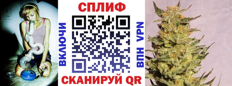 Каннабис гибрид  Заволжье 